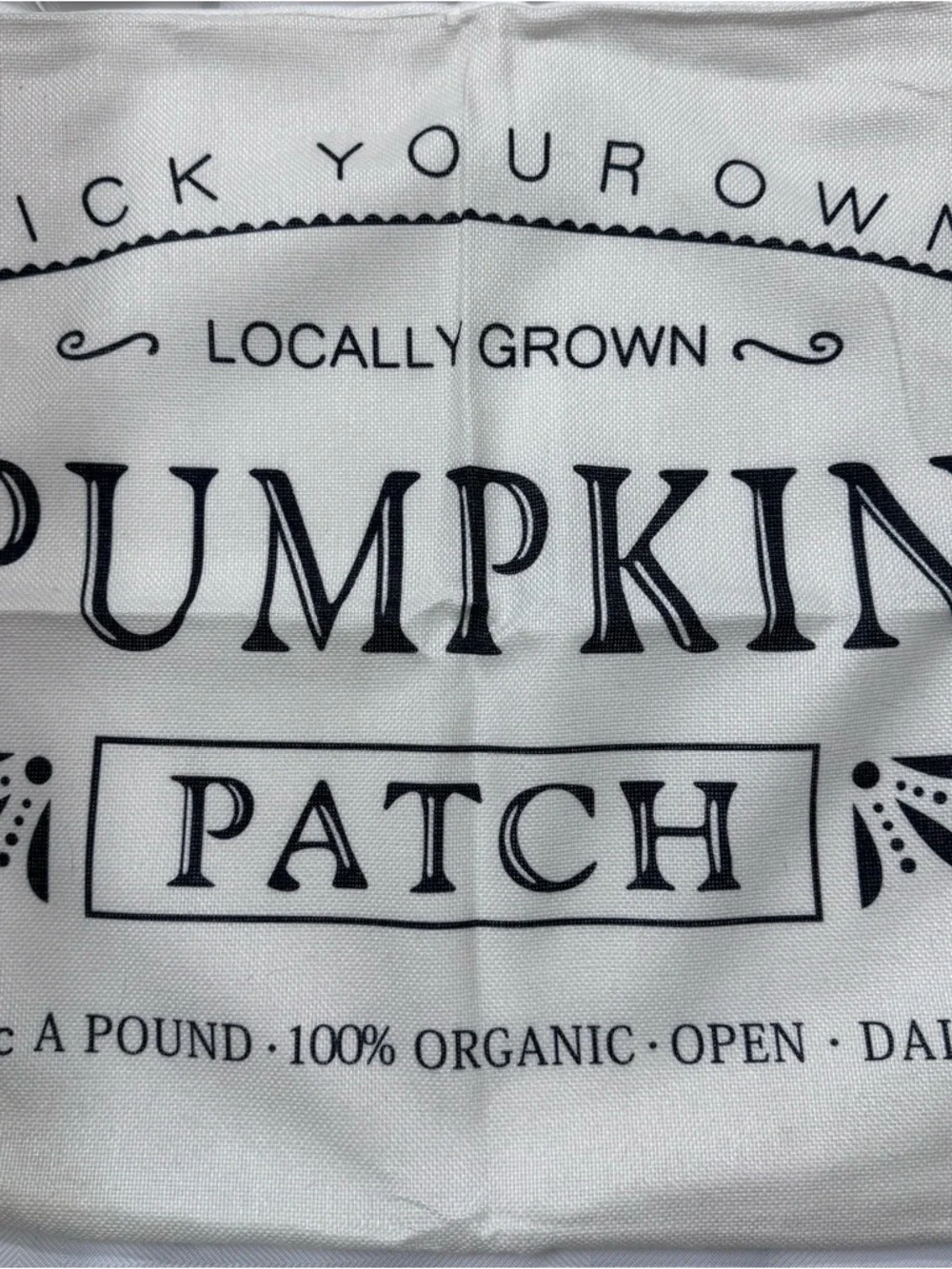 4-Piece Autumn Harvest Pumpkin Pillow Covers - Neutral Farmhouse Set w/ Zippers
